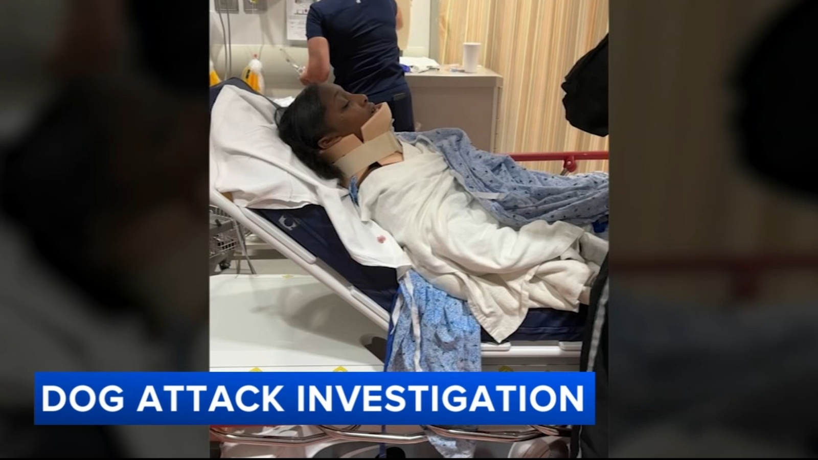 12-year-old girl recovering after dog allegedly attacks her in Chester ...
