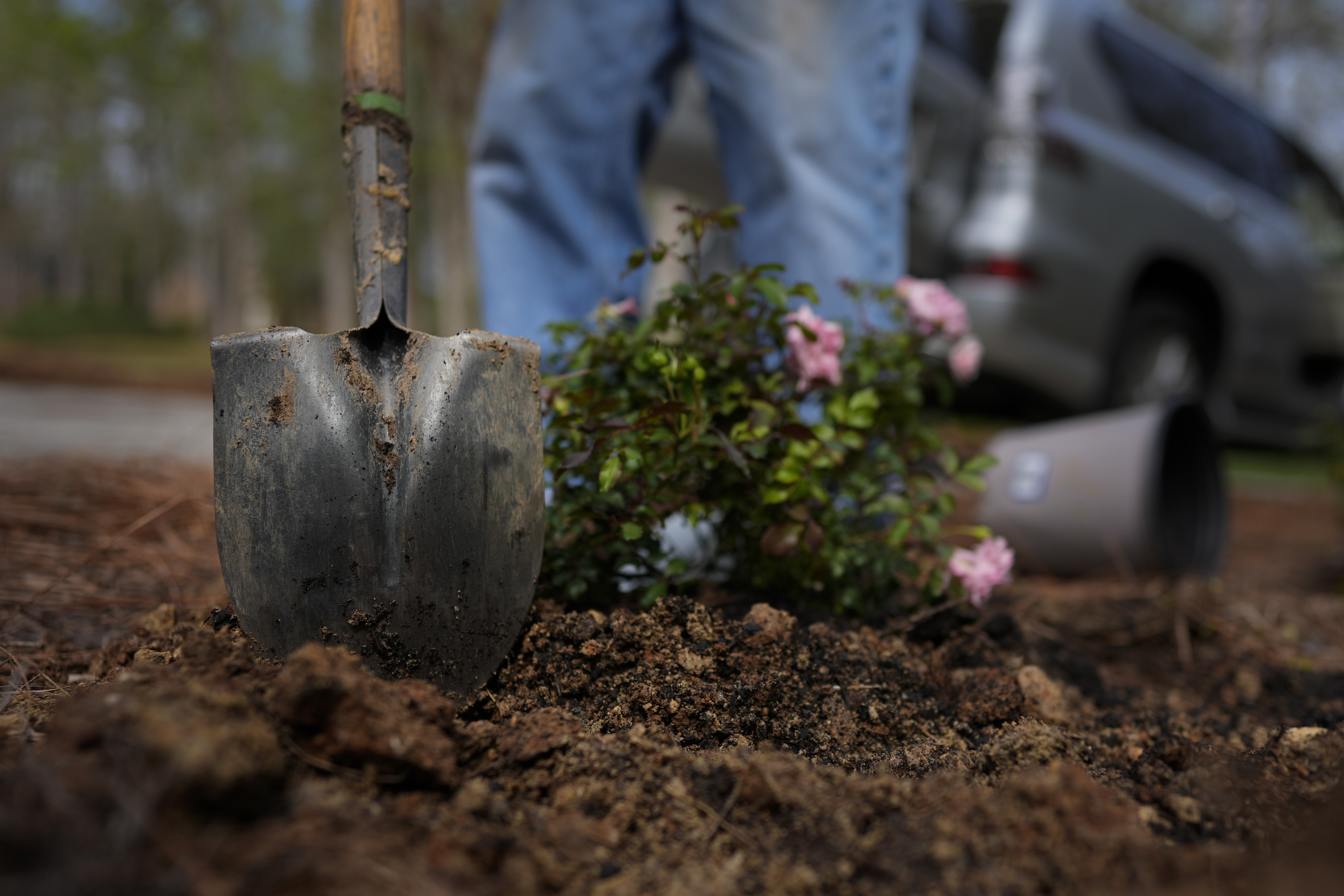 Weed out landscaping, gardening scammers with these quick tips