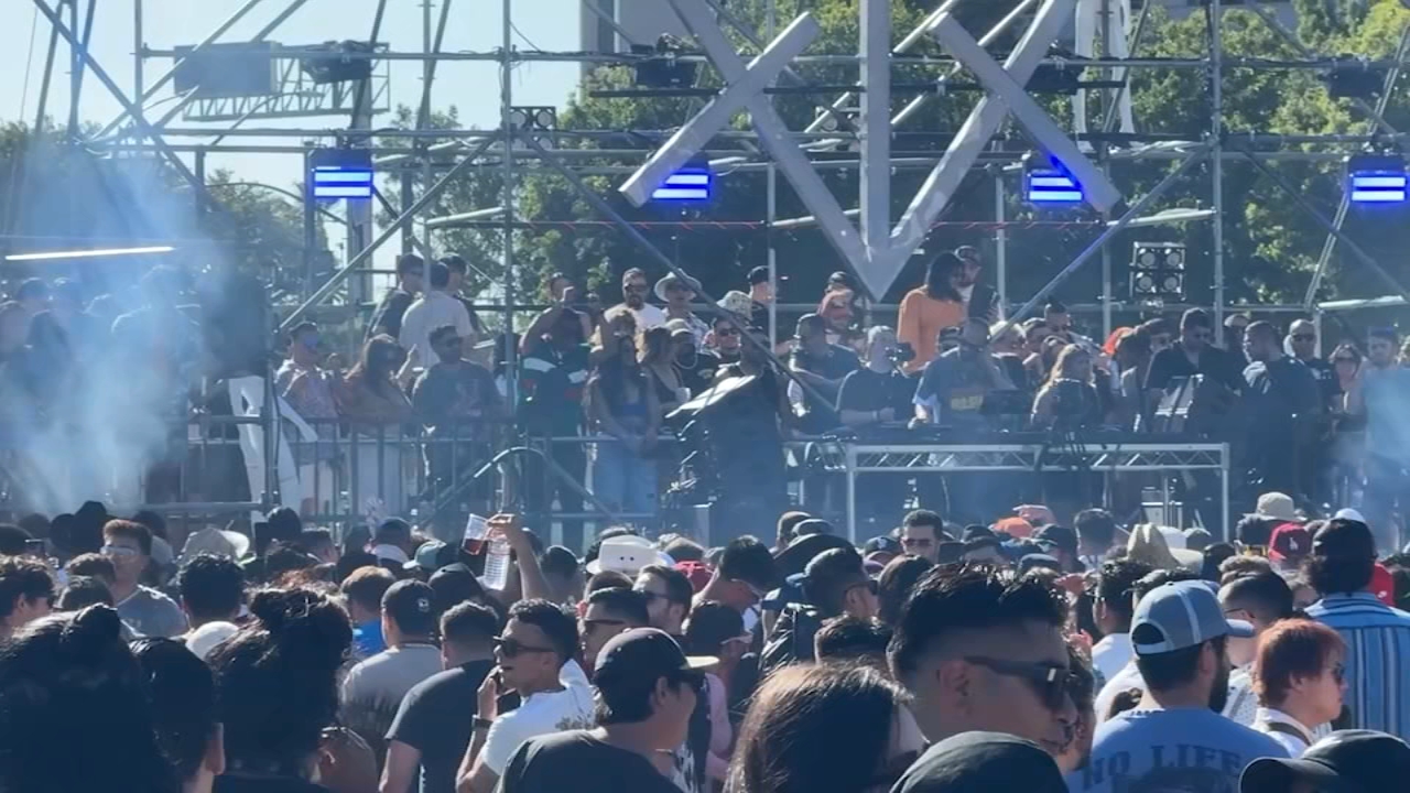 SJ planning music festival 'series' after successful daytime rave
