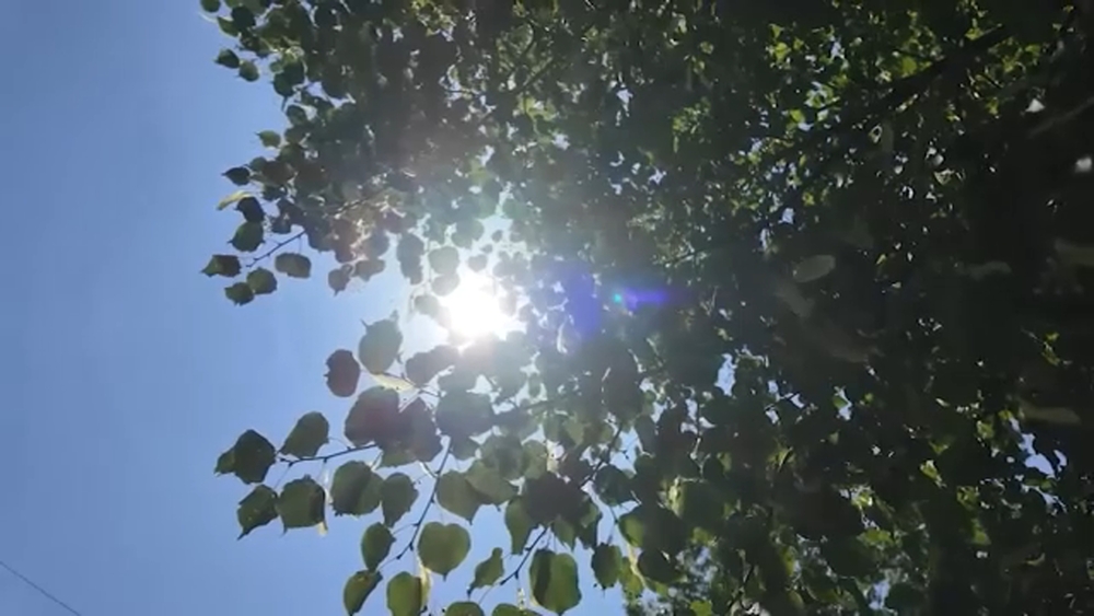 Extra Time: Peak heat on the way; NYC commission seeks public's help