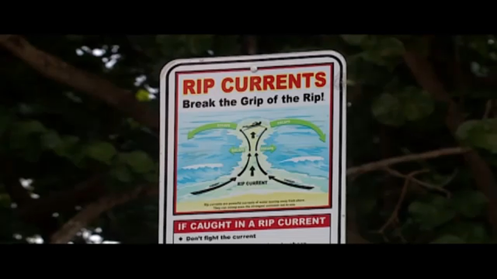 Pa parents drown after being caught in rip current while vacationing with 6 children in Florida  WPVITV