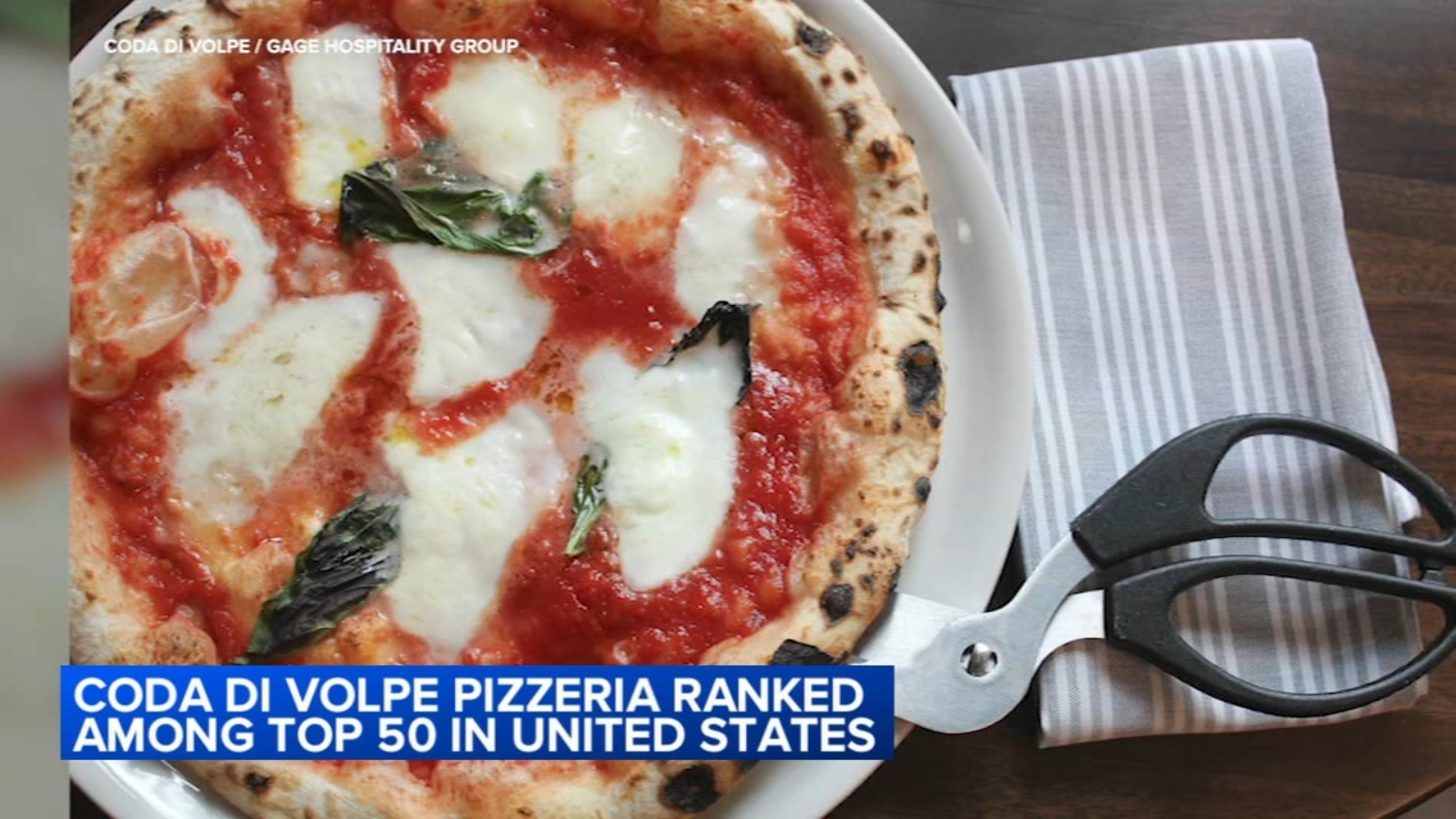 Coda di Volpe Chicago Italian restaurant on Southport in Lakeview