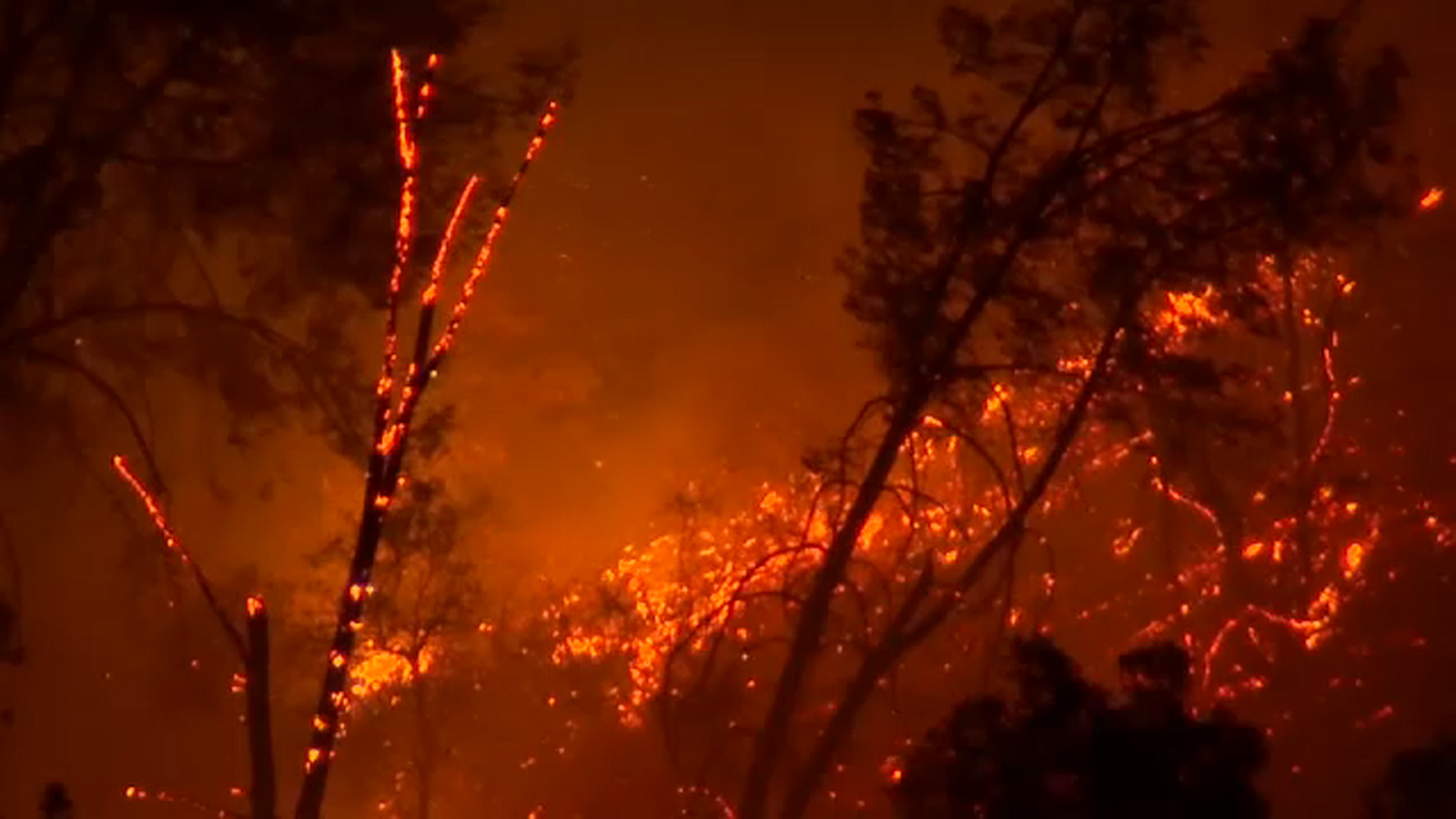 LIVE: Crews battle French fire in Mariposa County