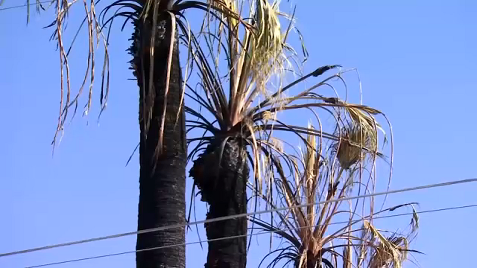 Fresno County home damaged after illegal firework sparks flames