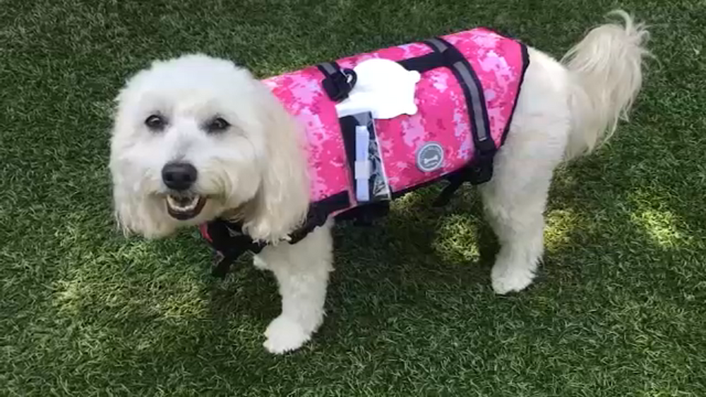 15047346_pet-life-jackets-img.