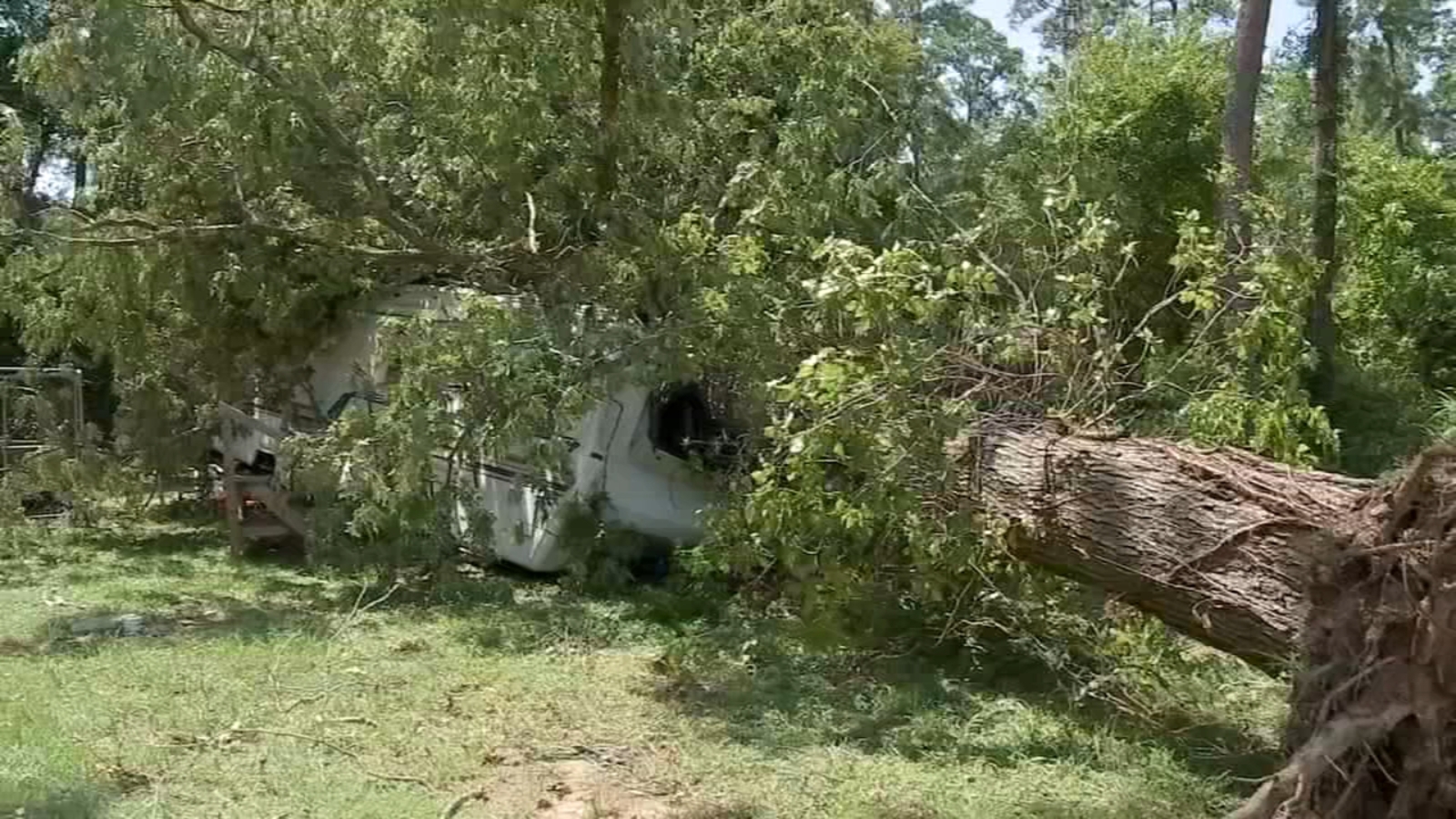 New Caney woman rescued after tree fell on RV in Montgomery County when