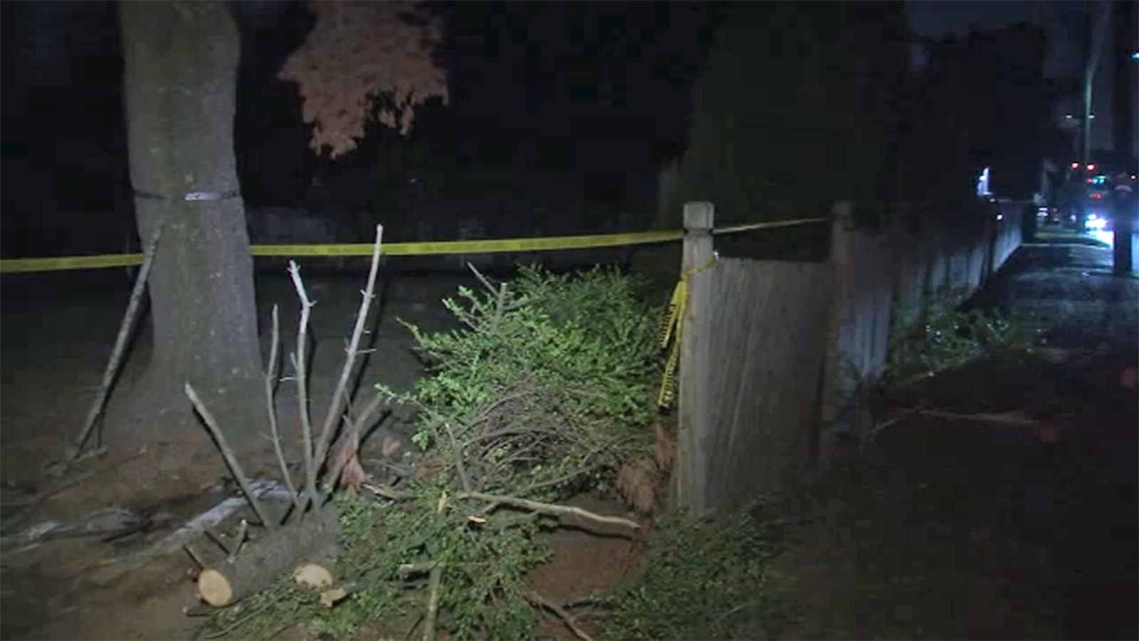 Crash involving car and deer in Emerson, New Jersey under investigation