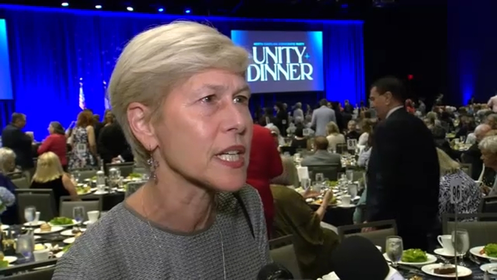 Rep. Deborah Ross says she's a 'yellow dog Democrat'