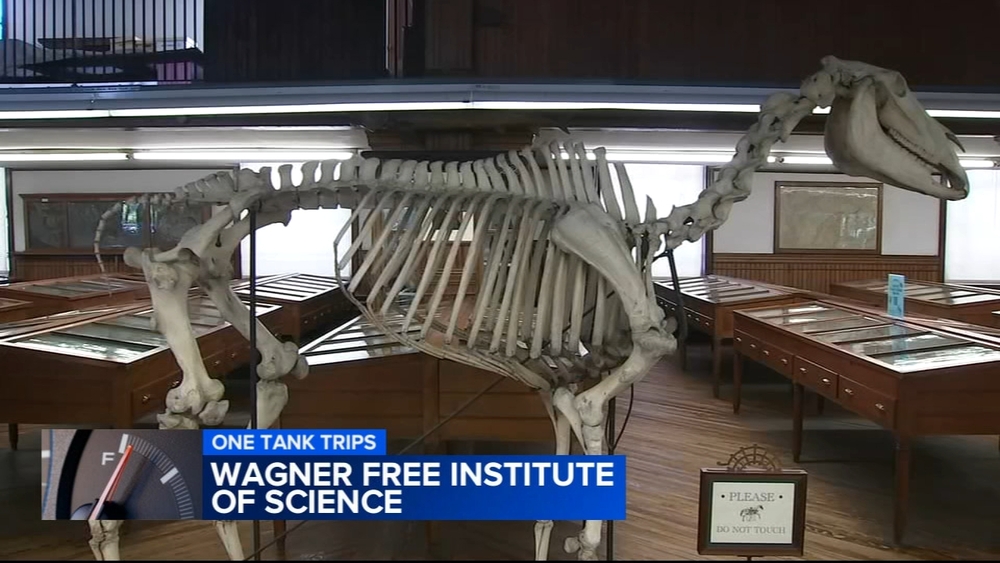 Wagner Free Institute of Science takes visitors on a trip through time