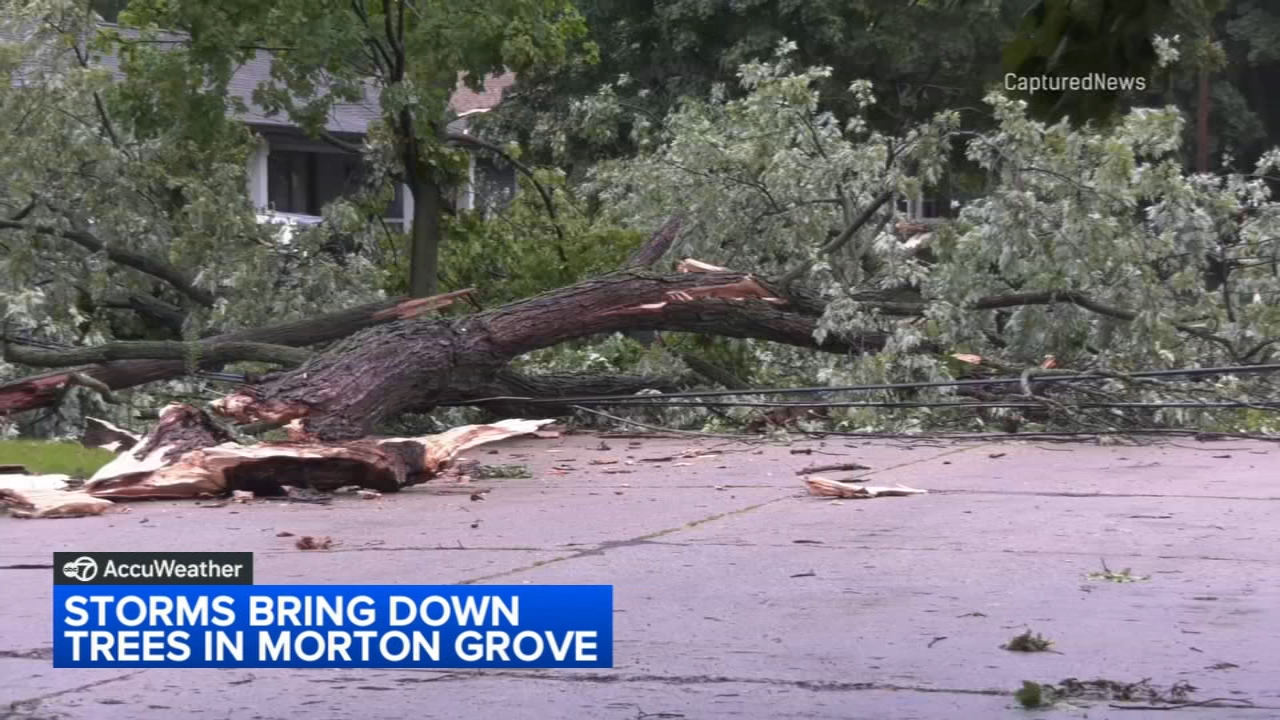 Downed trees, power outages reported from Monday evening storms