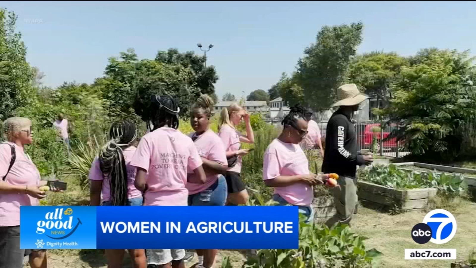 african-american-women-farmers