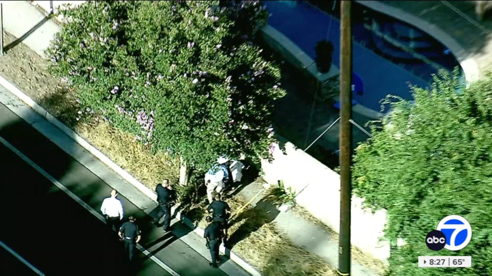 Man found dead after being stabbed in San Fernando Valley's Woodland ...