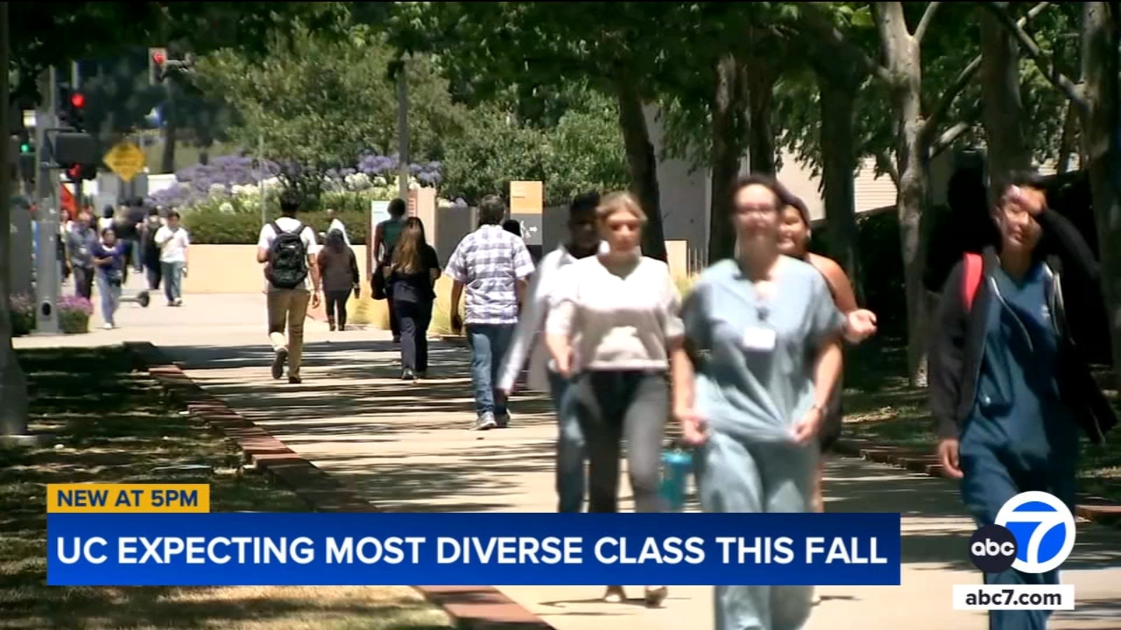 UC's fall 2024 class sets new record with largest, most diverse cohort ...