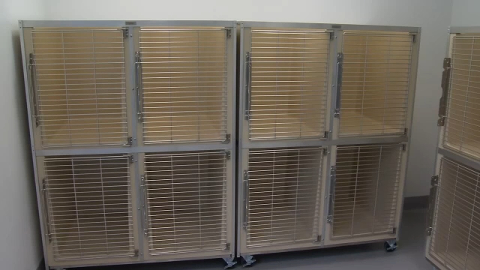 New animal shelter now open in Porterville