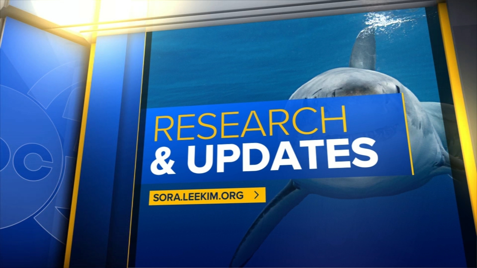 UC Merced shark researcher making waves in science world