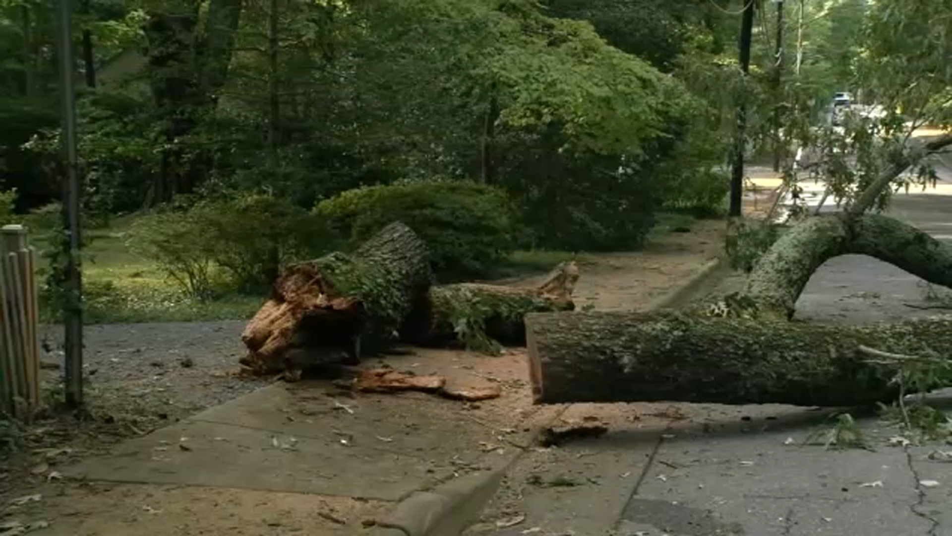 Debby: Power restored to thousands in Central NC