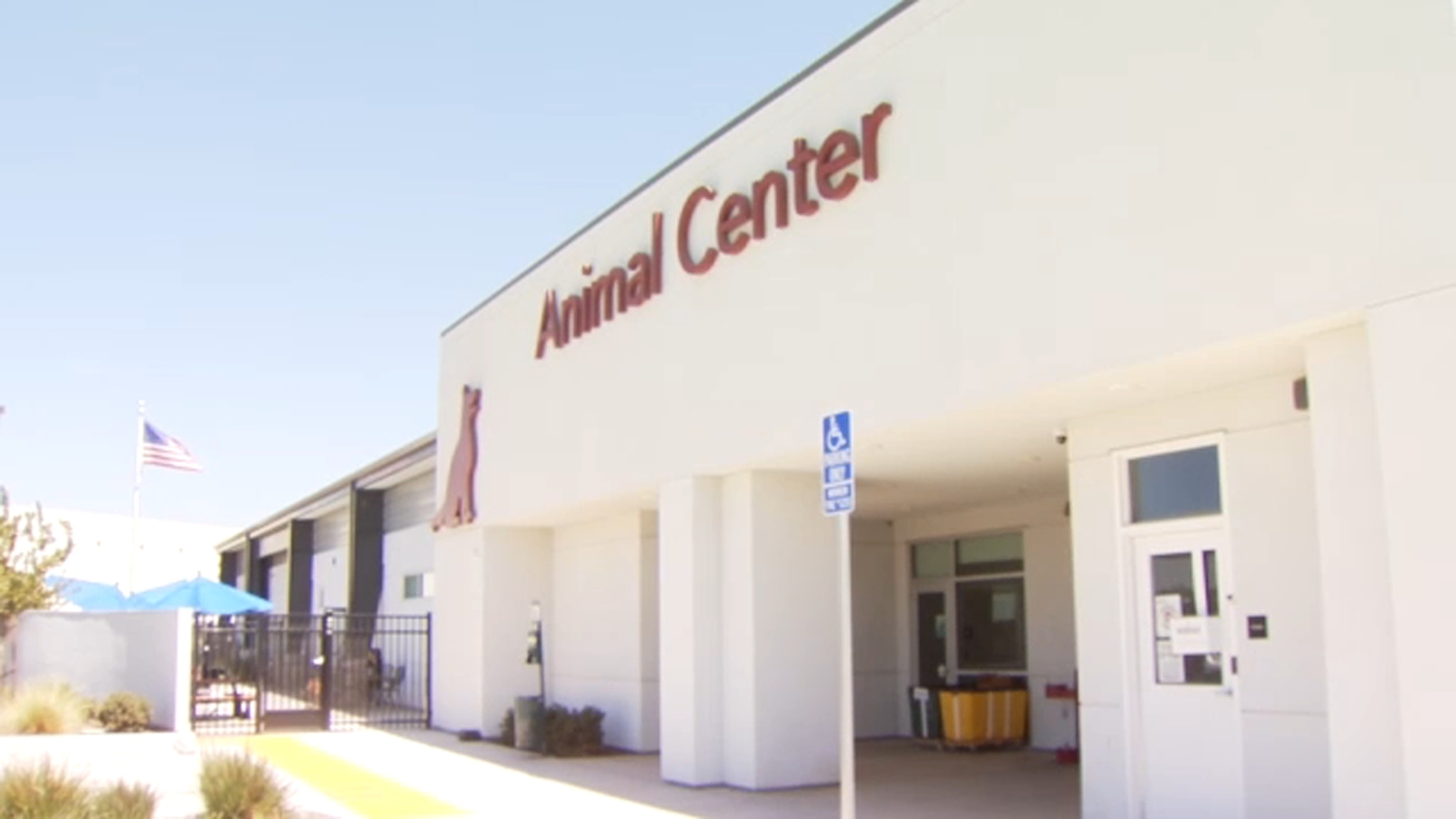 This local non-profit is helping struggling pet owners keep their pets