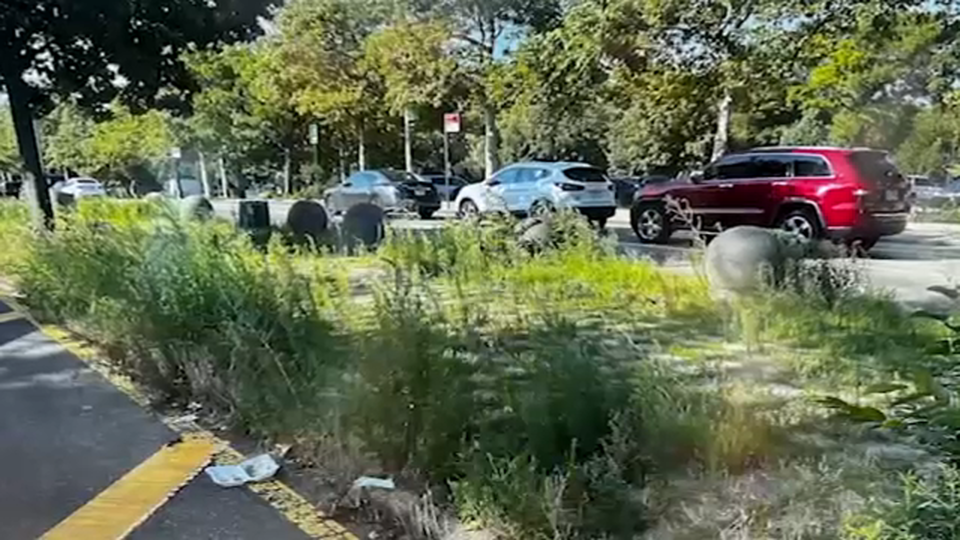 Push to clean up overgrown, trash-strewn medians in Queens