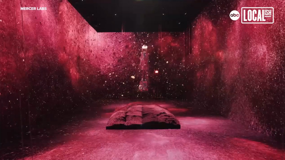 Mercer Labs: Immerse yourself in a museum unlike any other in NYC 