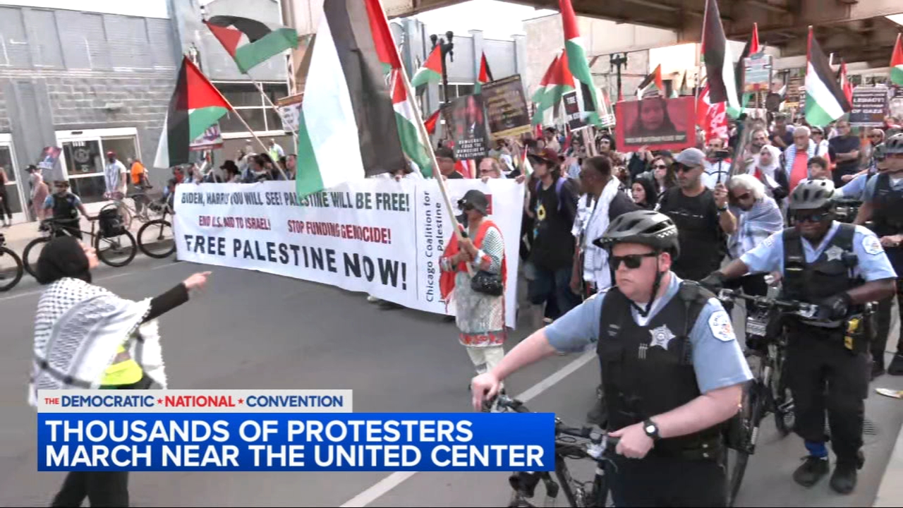 Thousands of pro-Palestinian protesters march on DNC