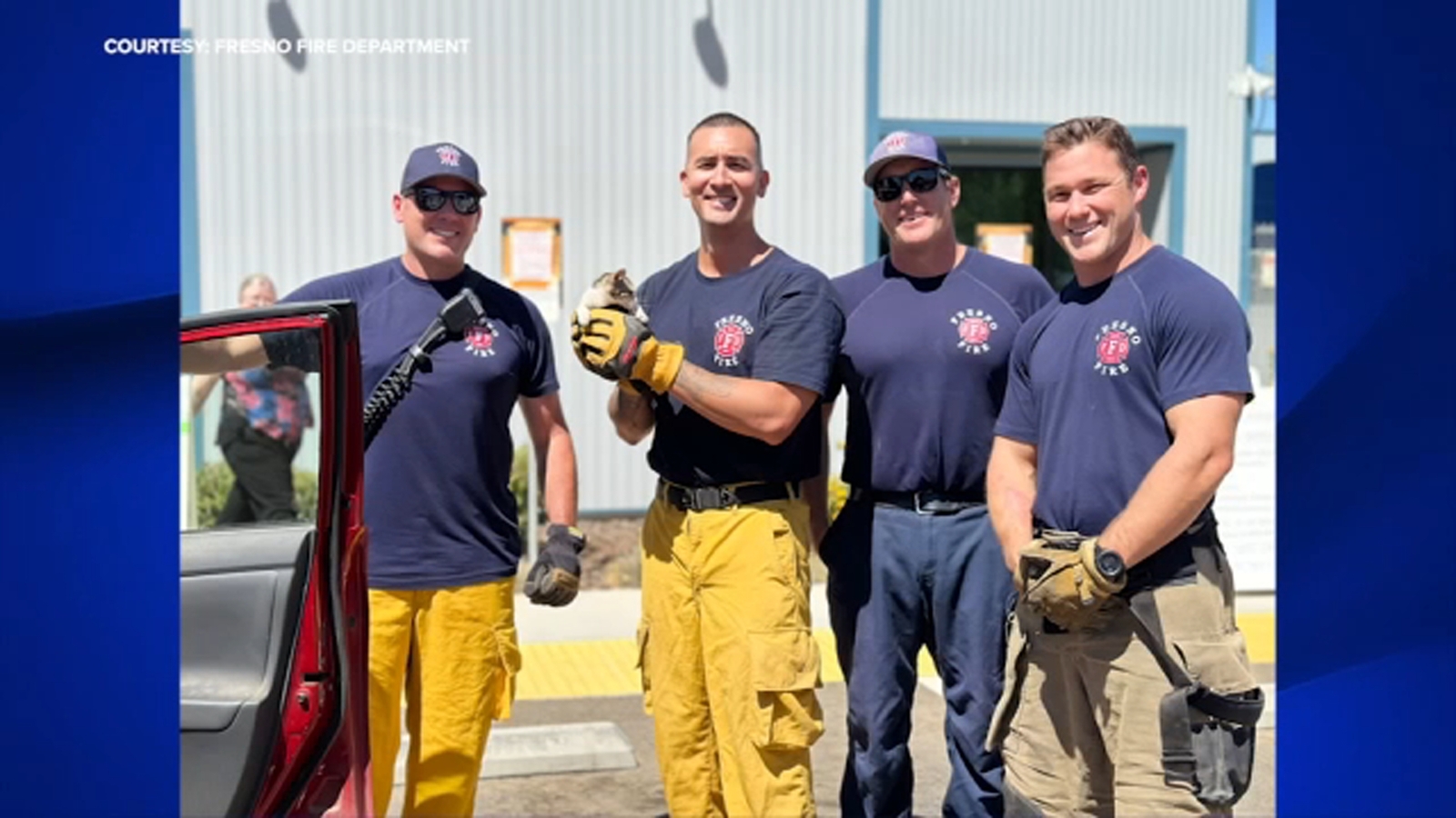 Fresno firefighters rescue cat stuck in dashboard of car