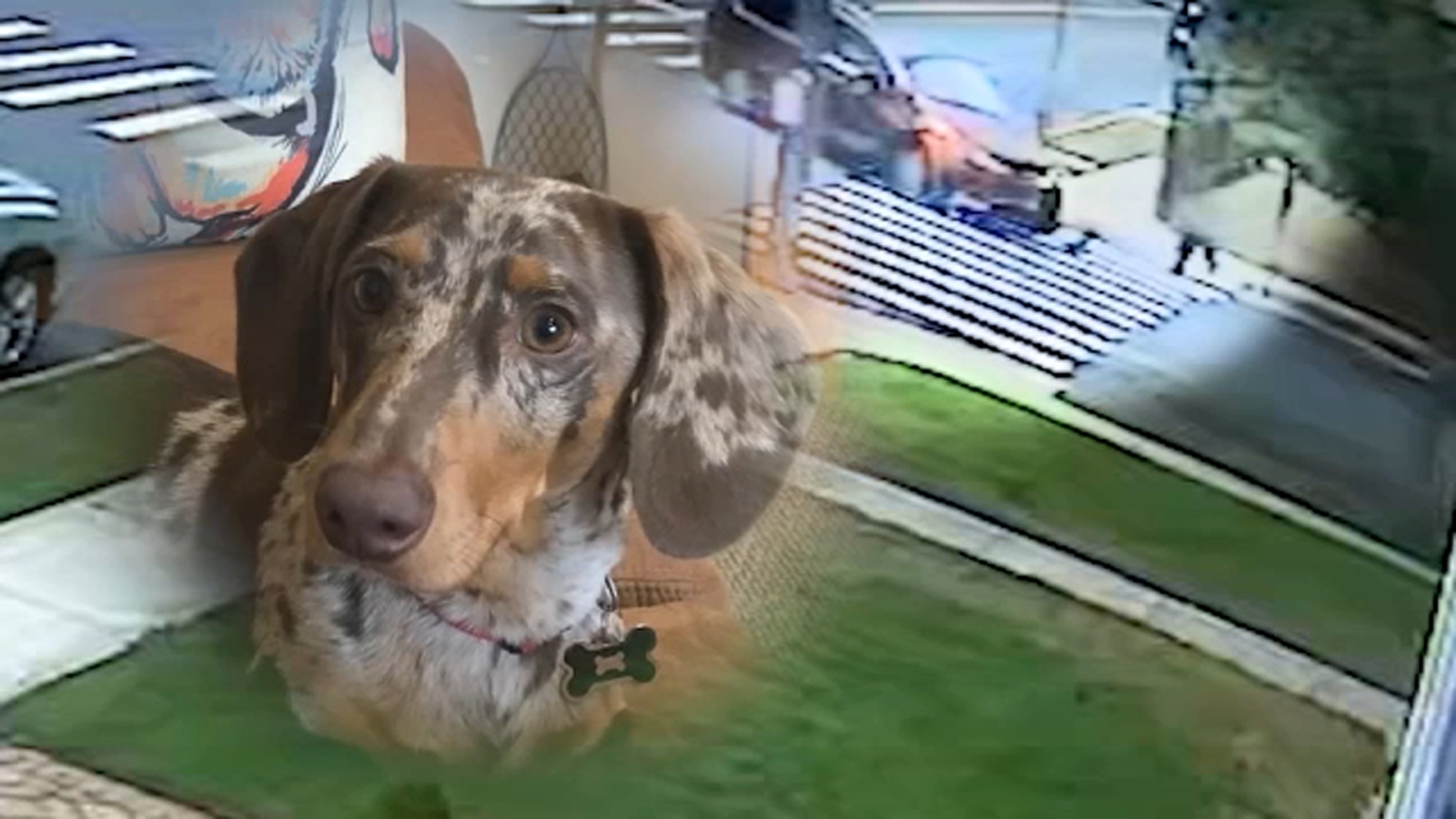 Mill Basin fatal car collision Battle in court aims to change NY law