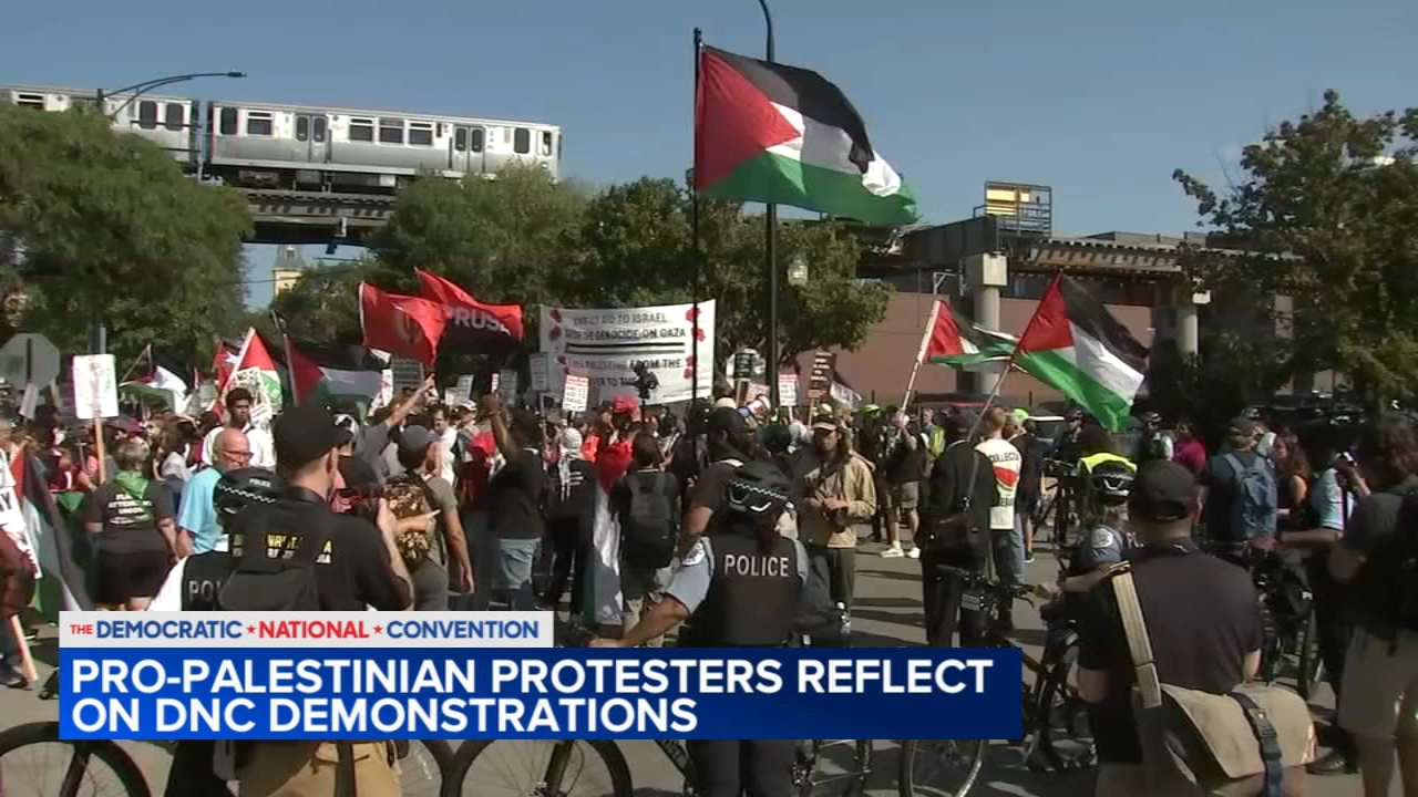 What's next for pro-Palestinian organizers after DNC protests?