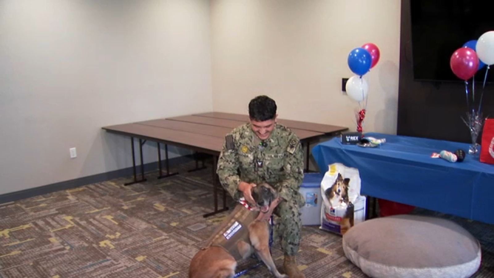 Military working dog reunited with handler after year apart
