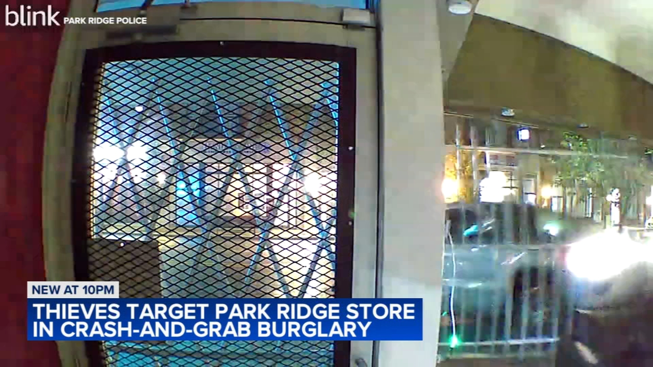 Crash-and-grab burglars ram suburban store with SUV to break in