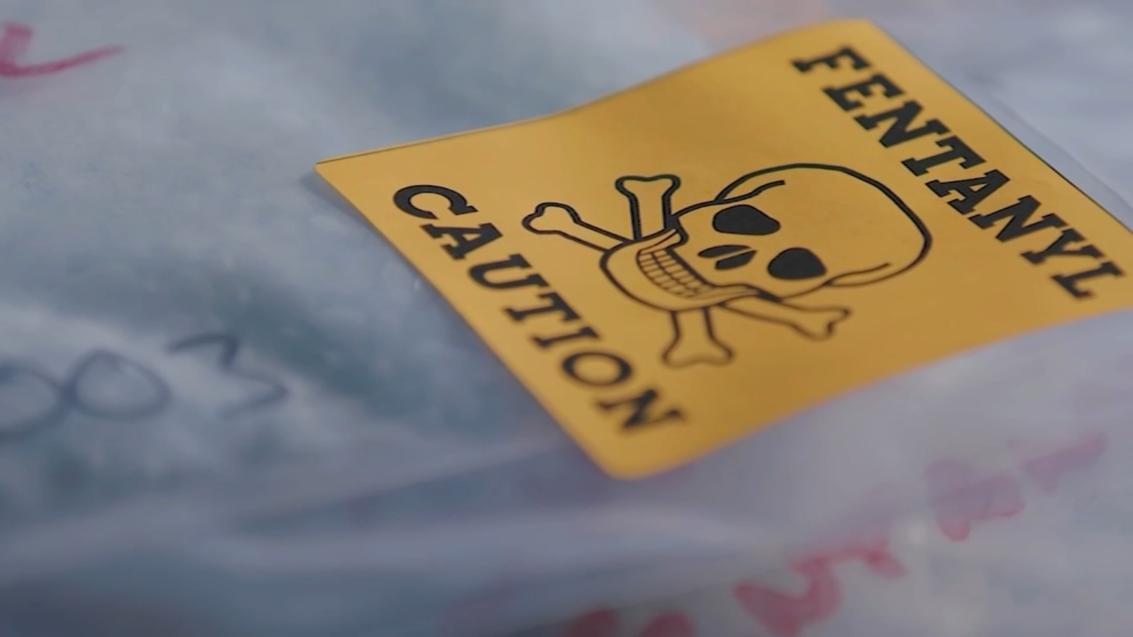 Tackling Tranq: fight against deadly combination of fentanyl, animal tranquilizer