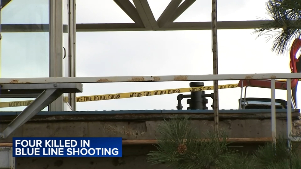 4 shot to death on CTA Blue Line train in Forest Park: police