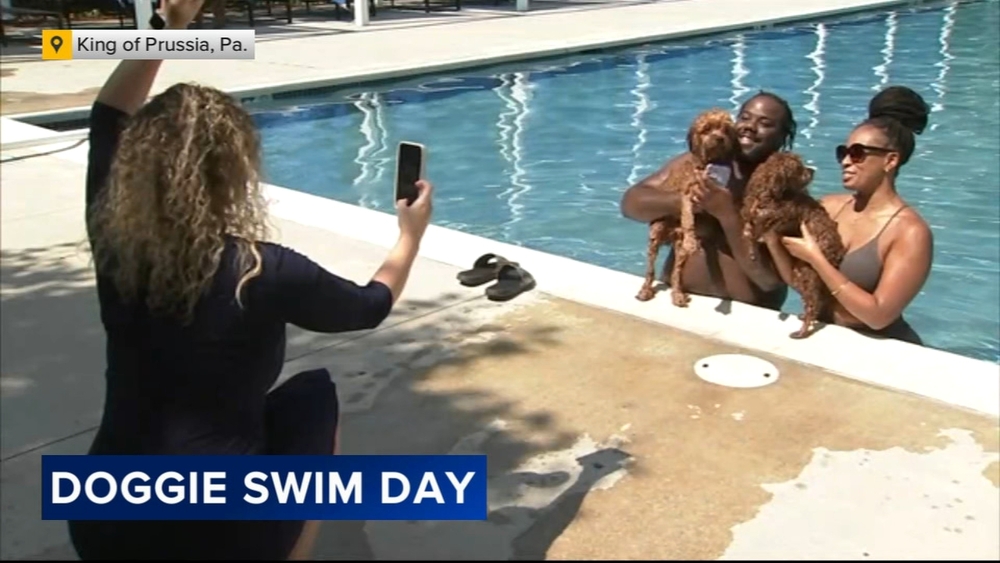 Doggie Swim Day at 251 DeKalb