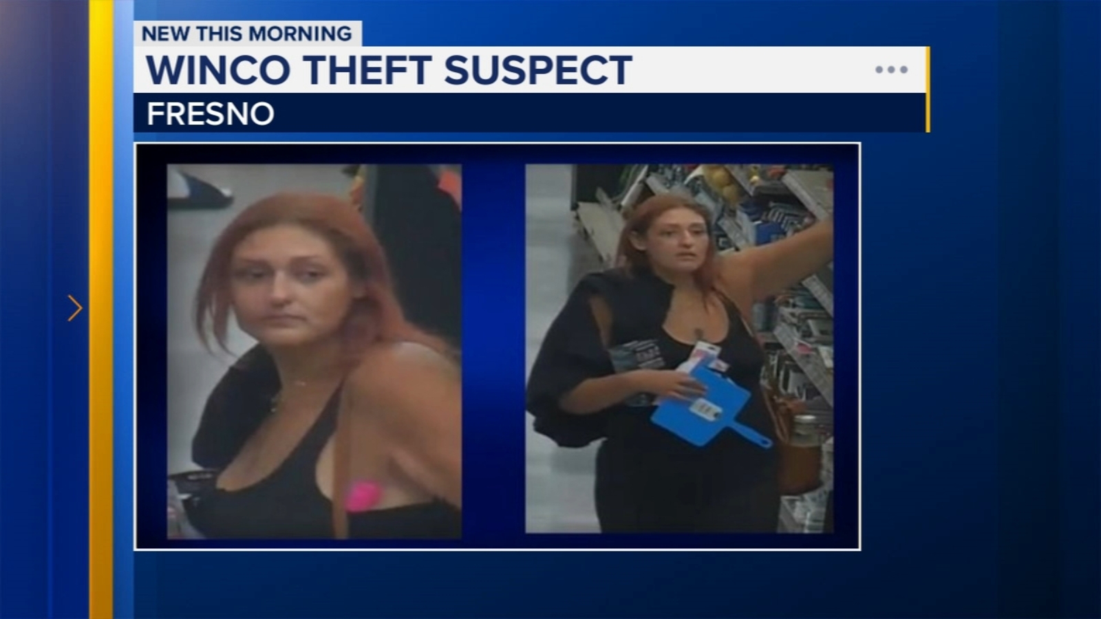 Police searching for women suspected of stealing from Winco in southeast Fresno