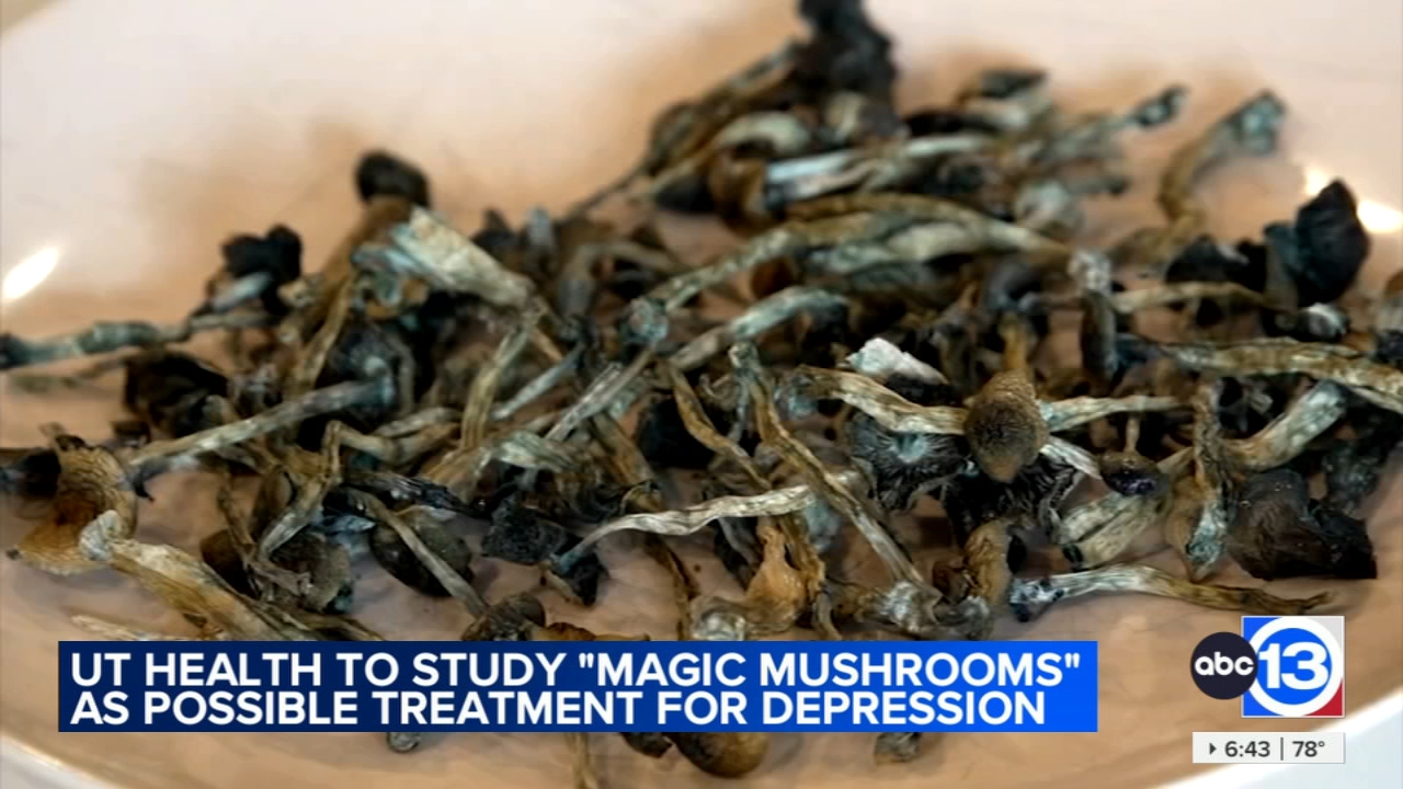 Researchers studying effects of 'magic mushrooms' on depression