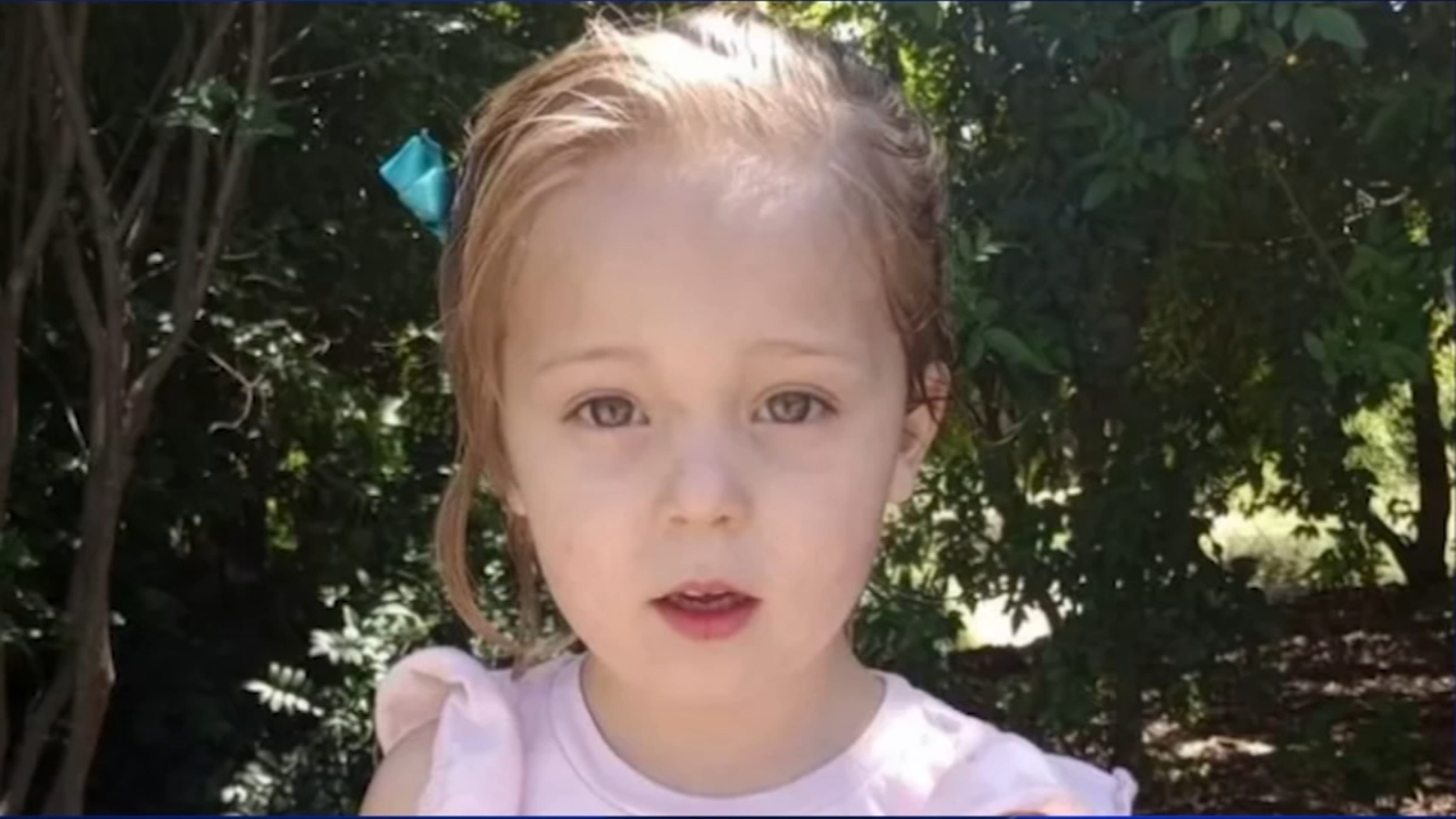 4-year-old girl killed after being attacked by family's dog identified ...