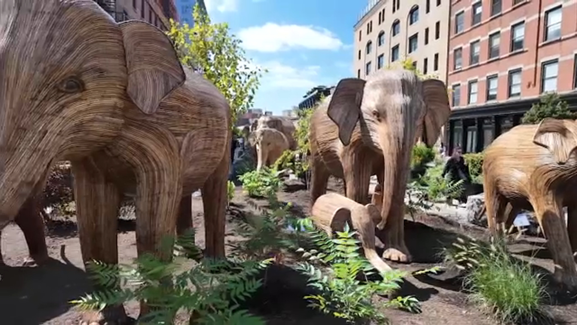 Great Elephant Migration art installation reaches NYC, depicting 