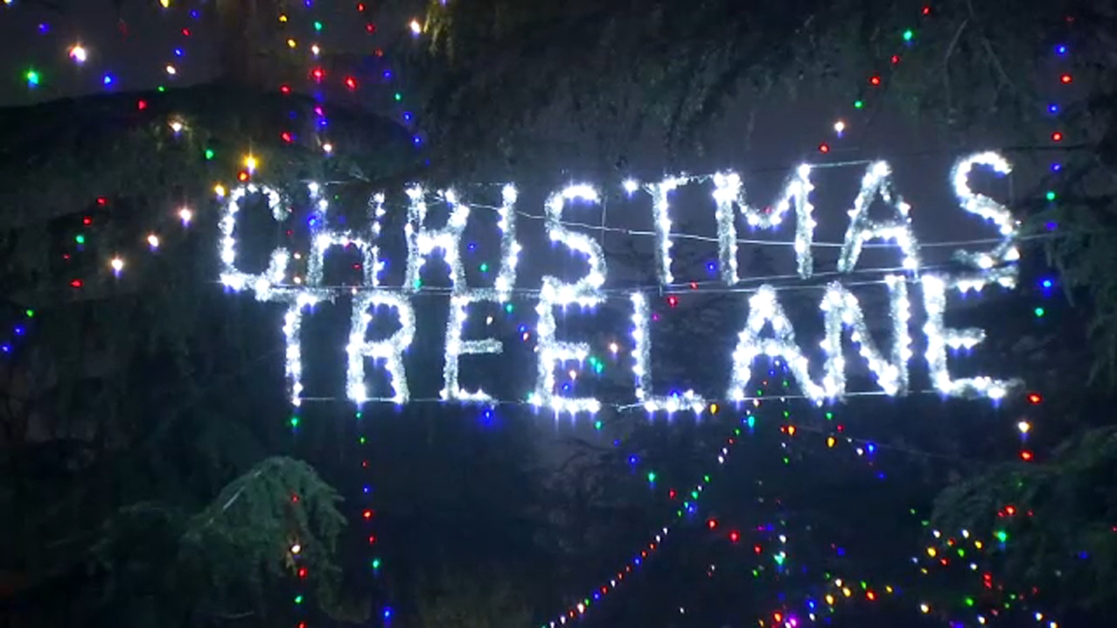 Proposed funding to ensure safety for Christmas Tree Lane's 'walk-only' nights