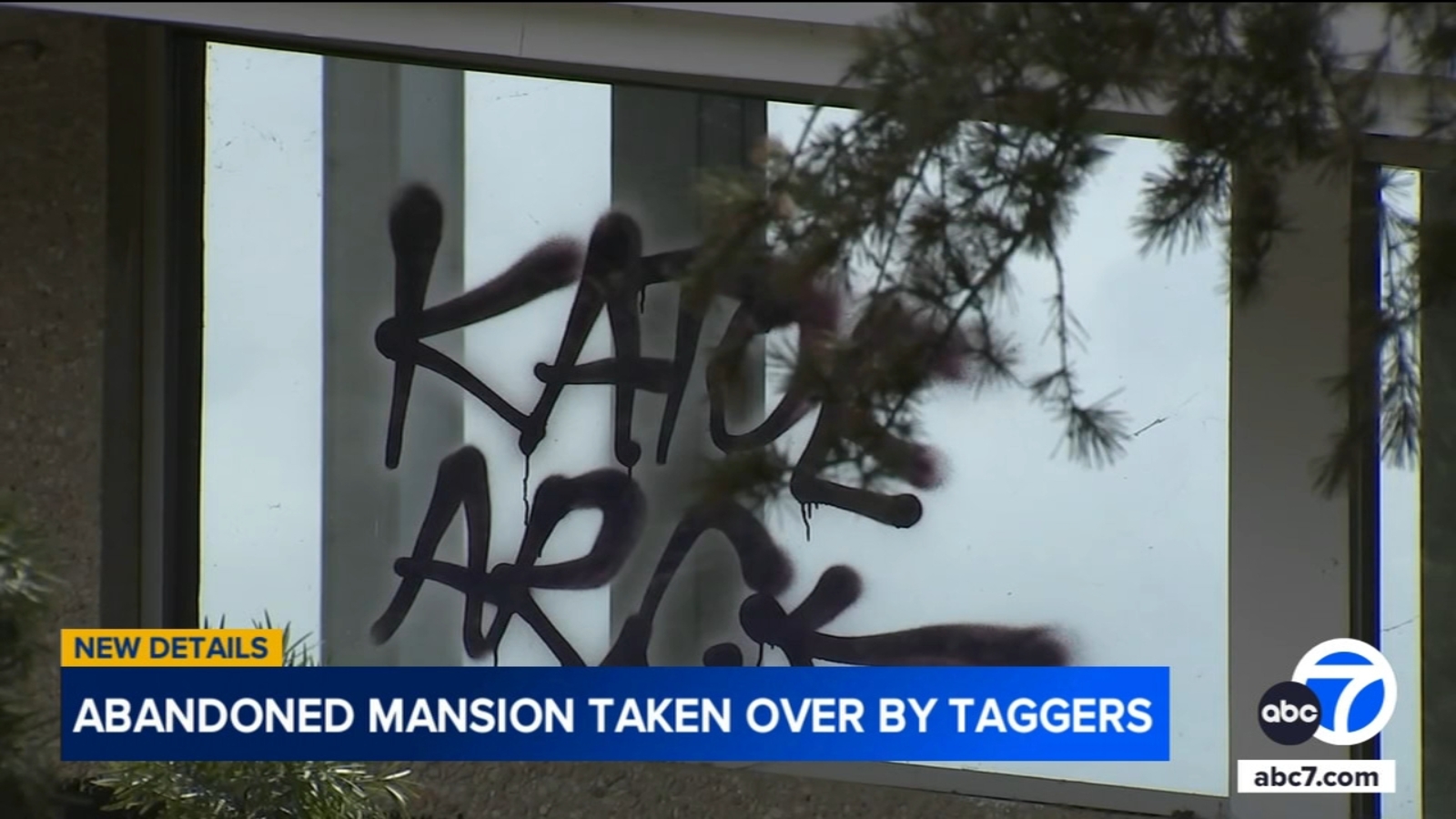 Abandoned Hollywood Hills mansion covered in graffiti owned by billionaire's son