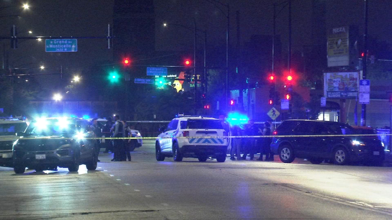 CPD officer shoots dog on NW Side
