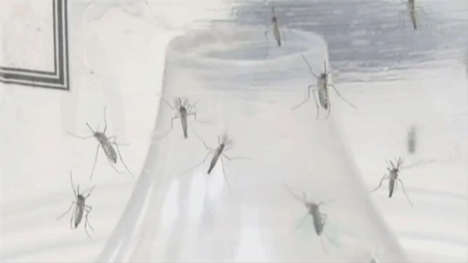 Eastern equine encephalitis: New York's first human case of EEE since ...