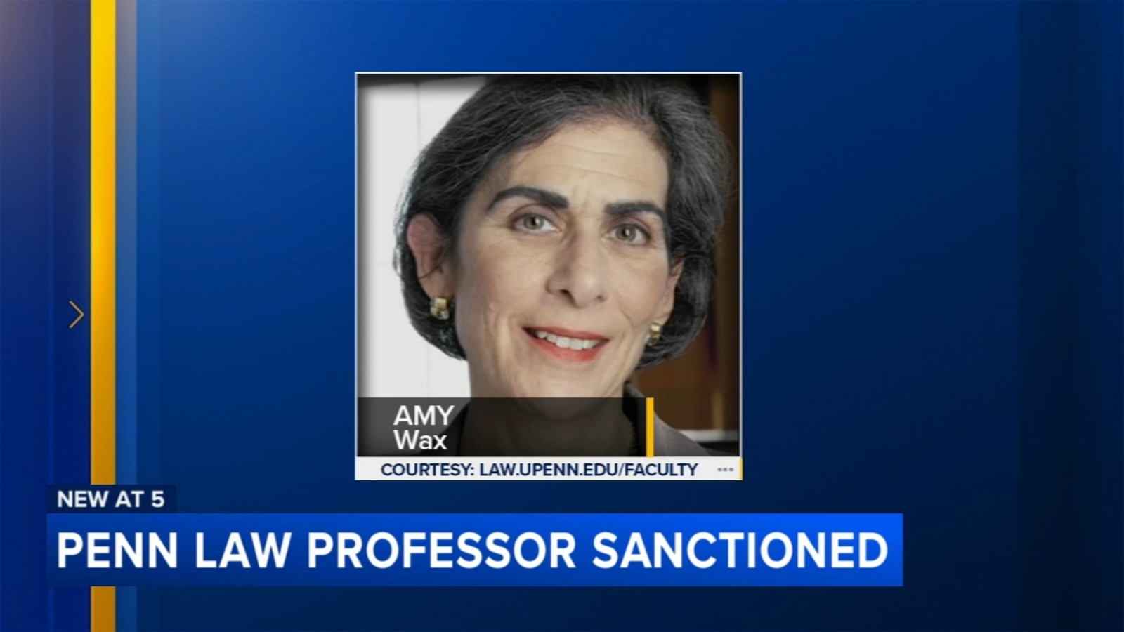 University of Pennsylvania sanctions controversial law professor Amy