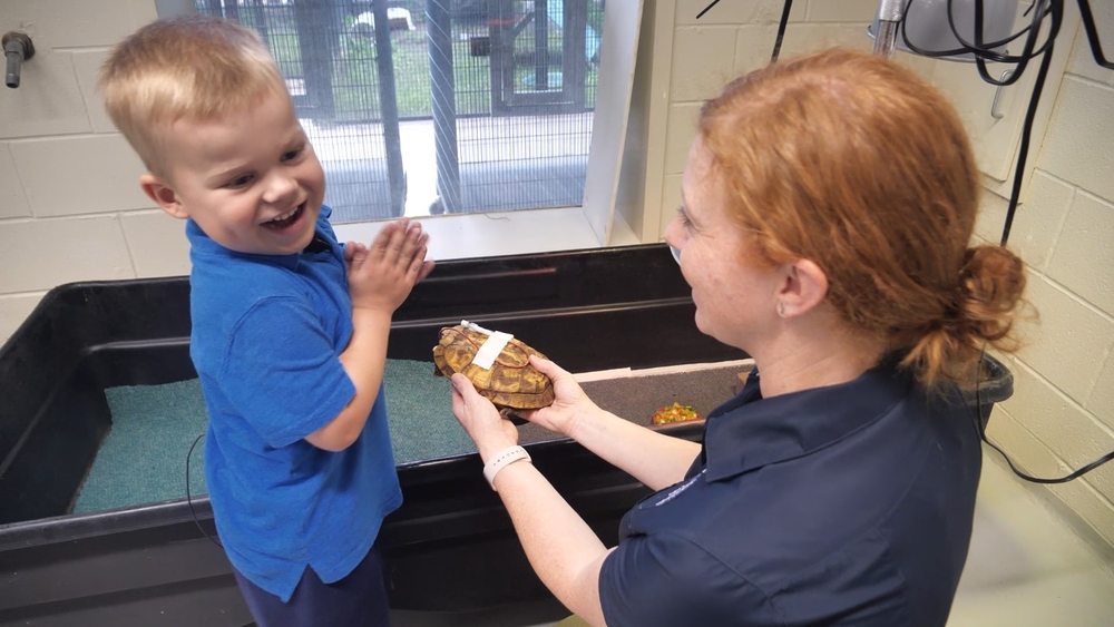 Boy with leukemia bonds with sick animals at Houston Zoo