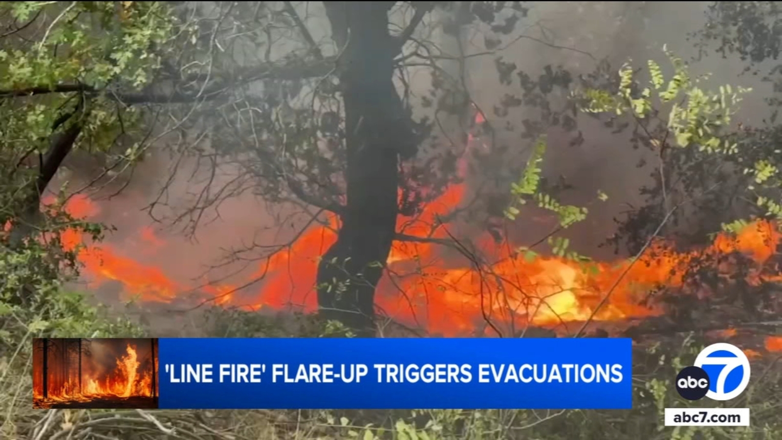 Line Fire: Crews defending Angelus Oaks amid ongoing wildfire near ...