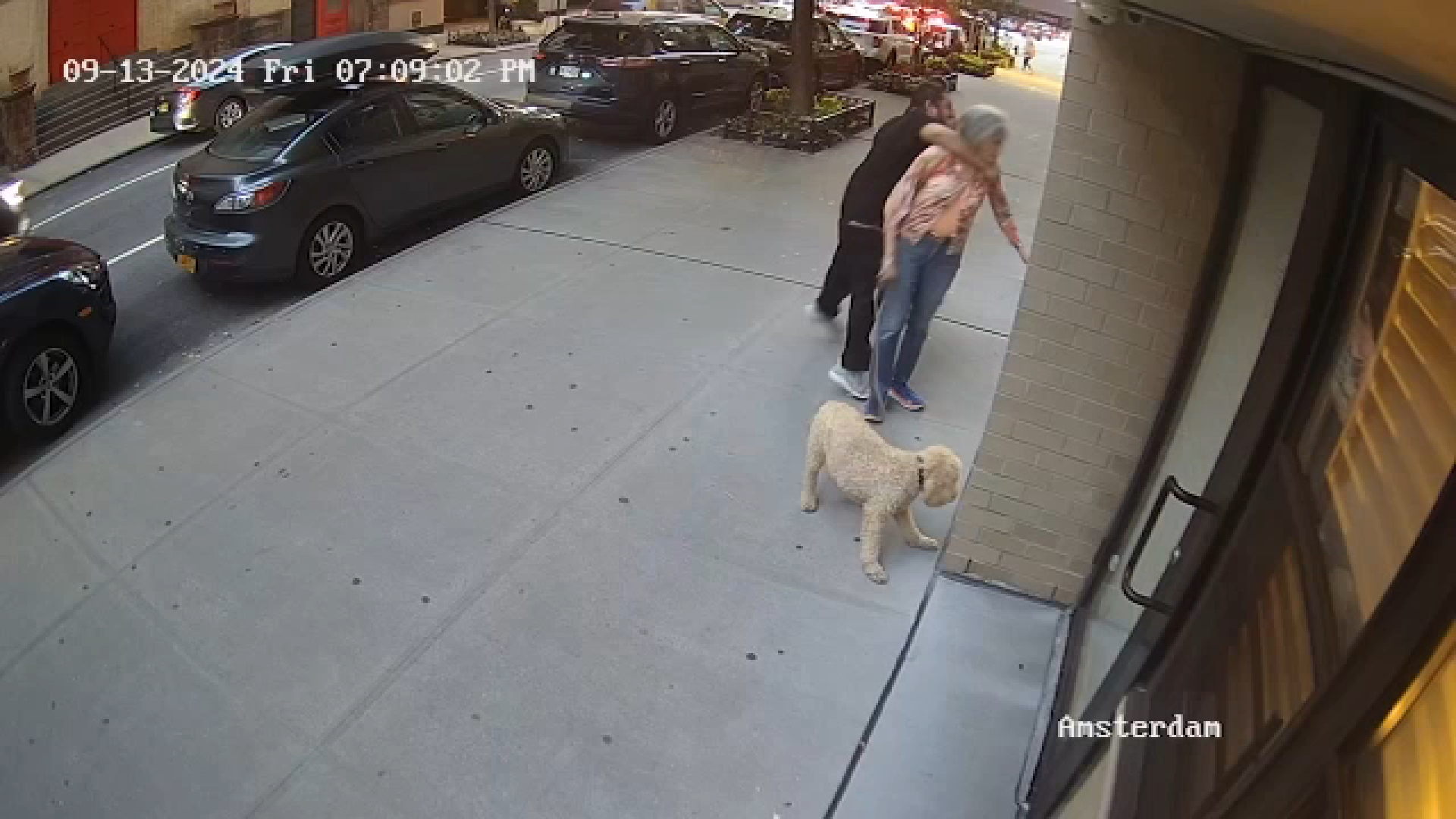 Man arrested in random sucker-punch attack on 81-year-old