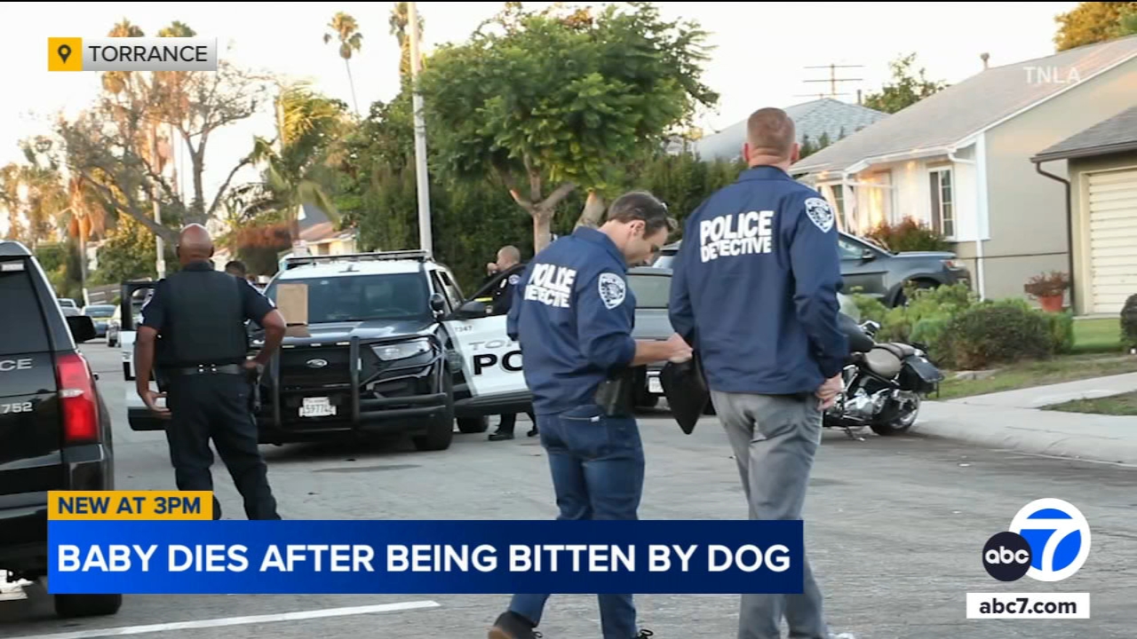 1-month-old baby dies after bitten by dog in Torrance