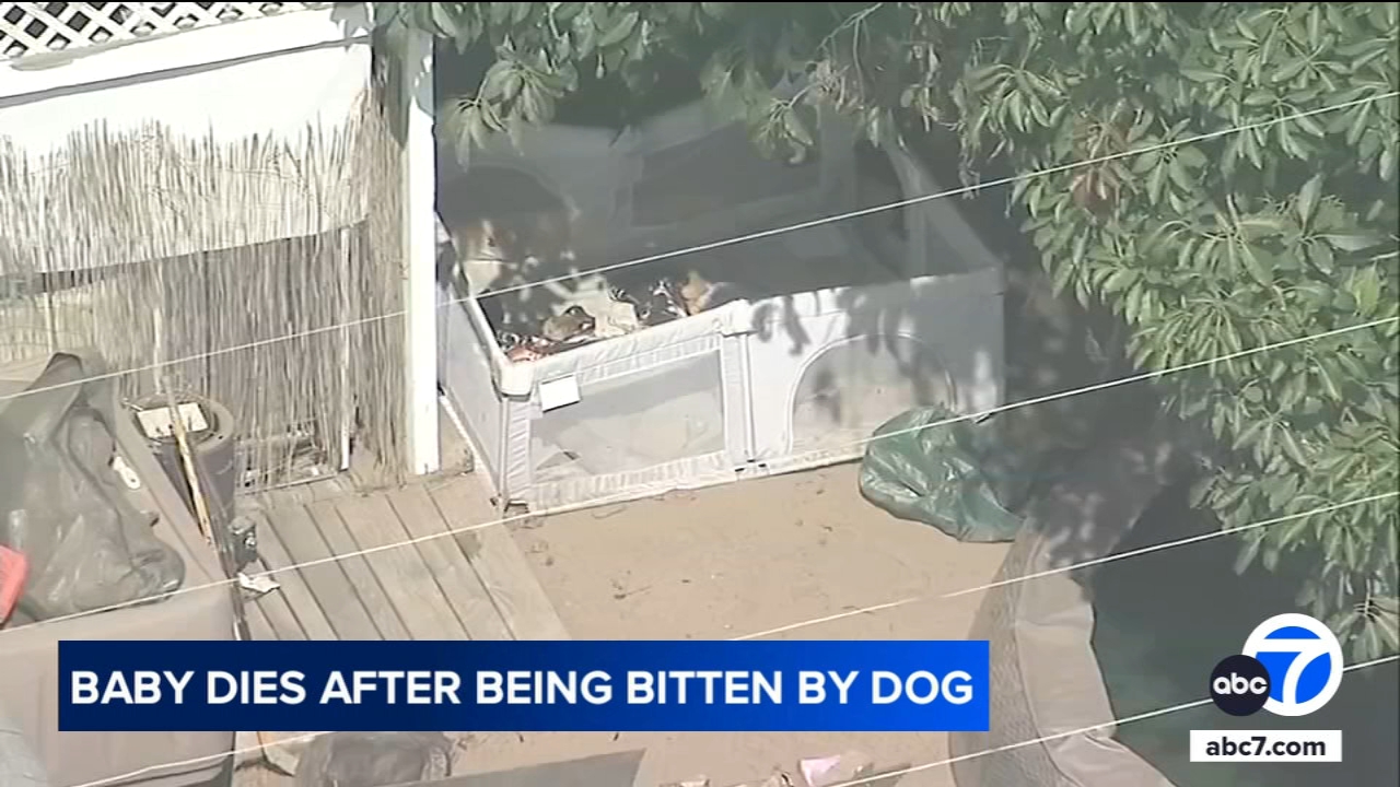 1-month-old baby dies after being bitten by dog in Torrance