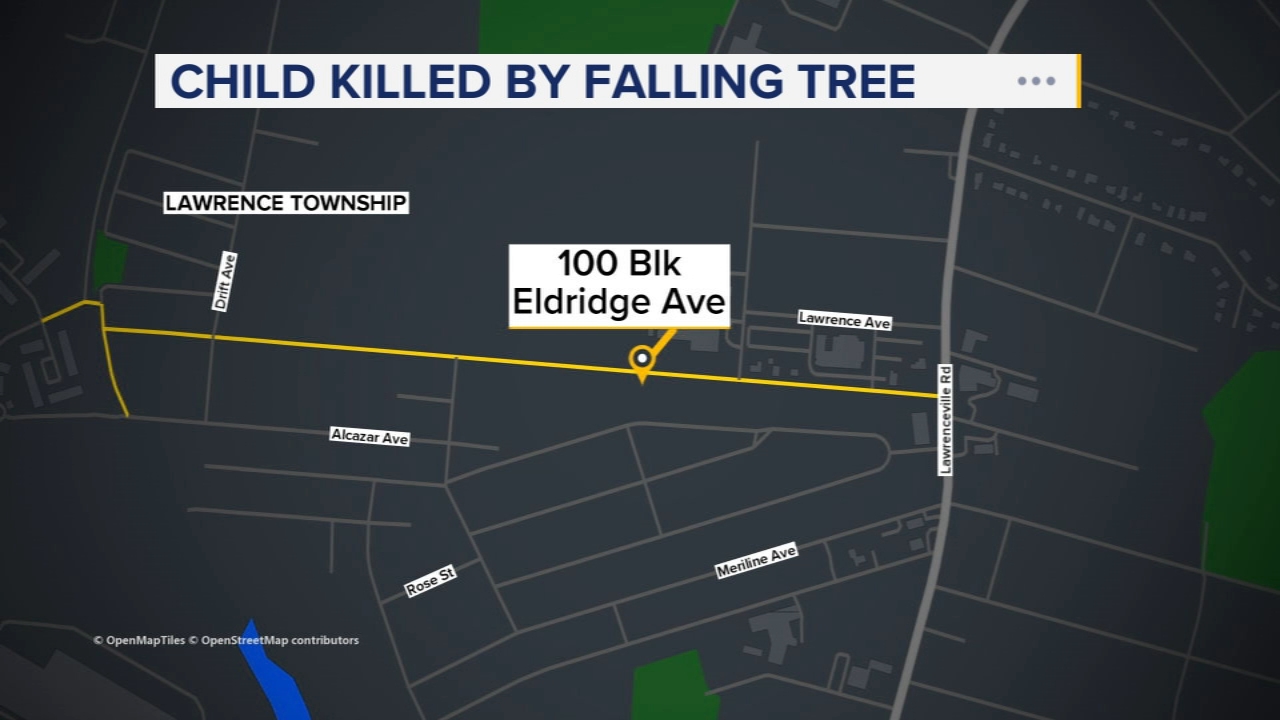 Community, classmates grieve NJ boy killed by falling tree 