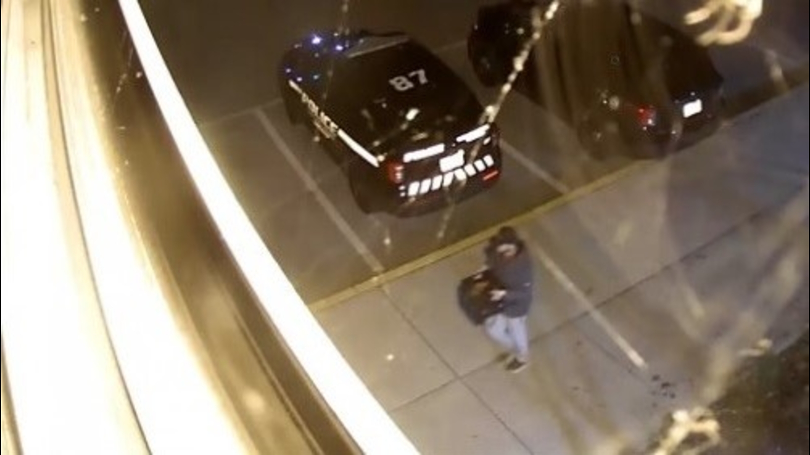 Man sought for abandoning 7 newborn puppies in box outside East