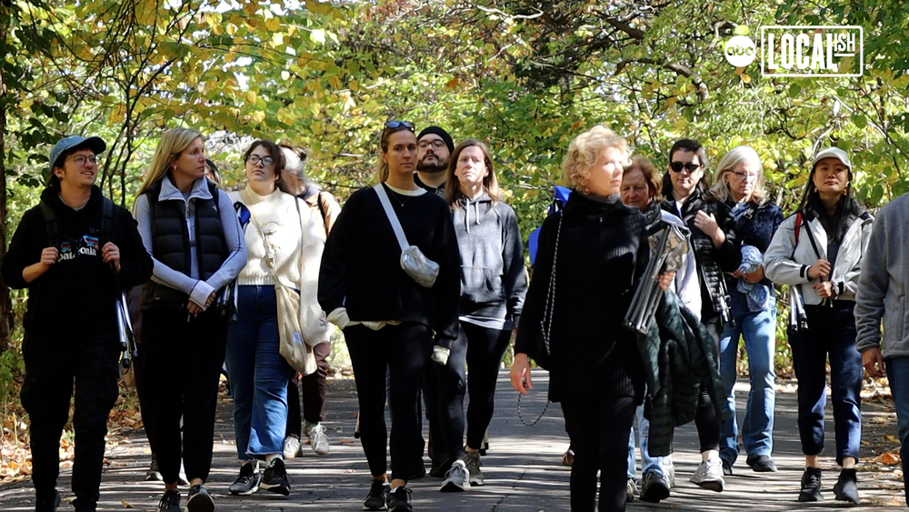 Forest Bathing is the latest trend to benefit your health benefits