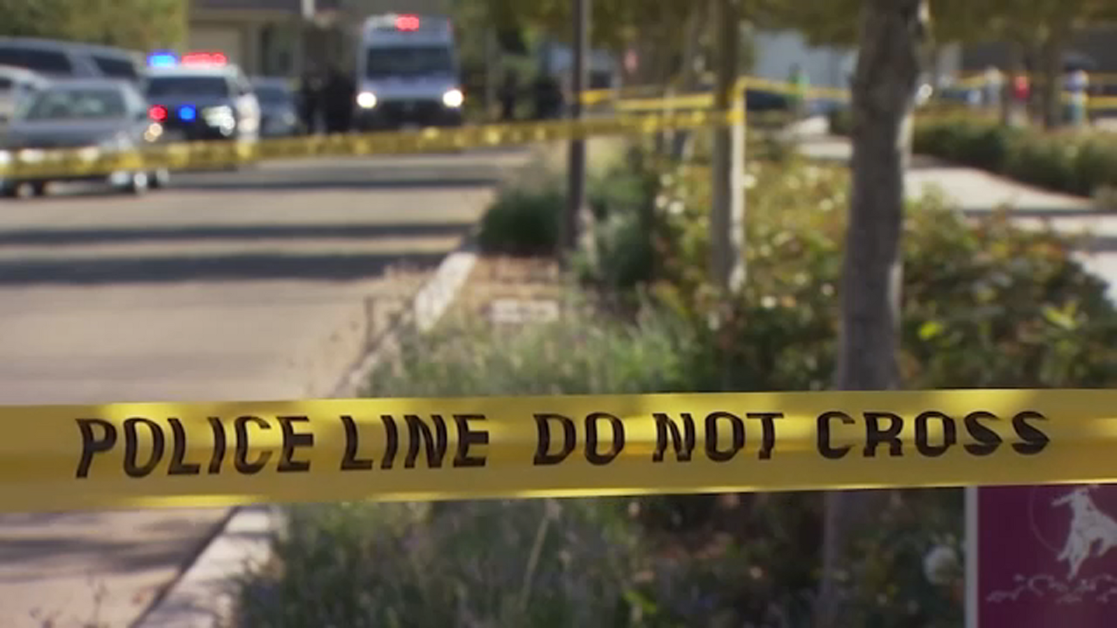 Combatting Domestic Violence: Difficulties from first call to prosecution